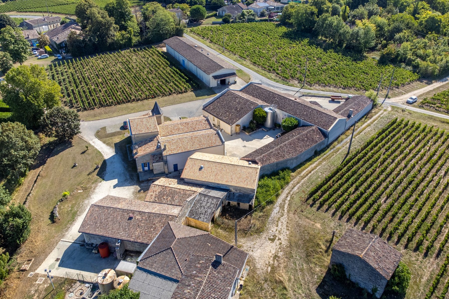 Château de Fronsac 16
