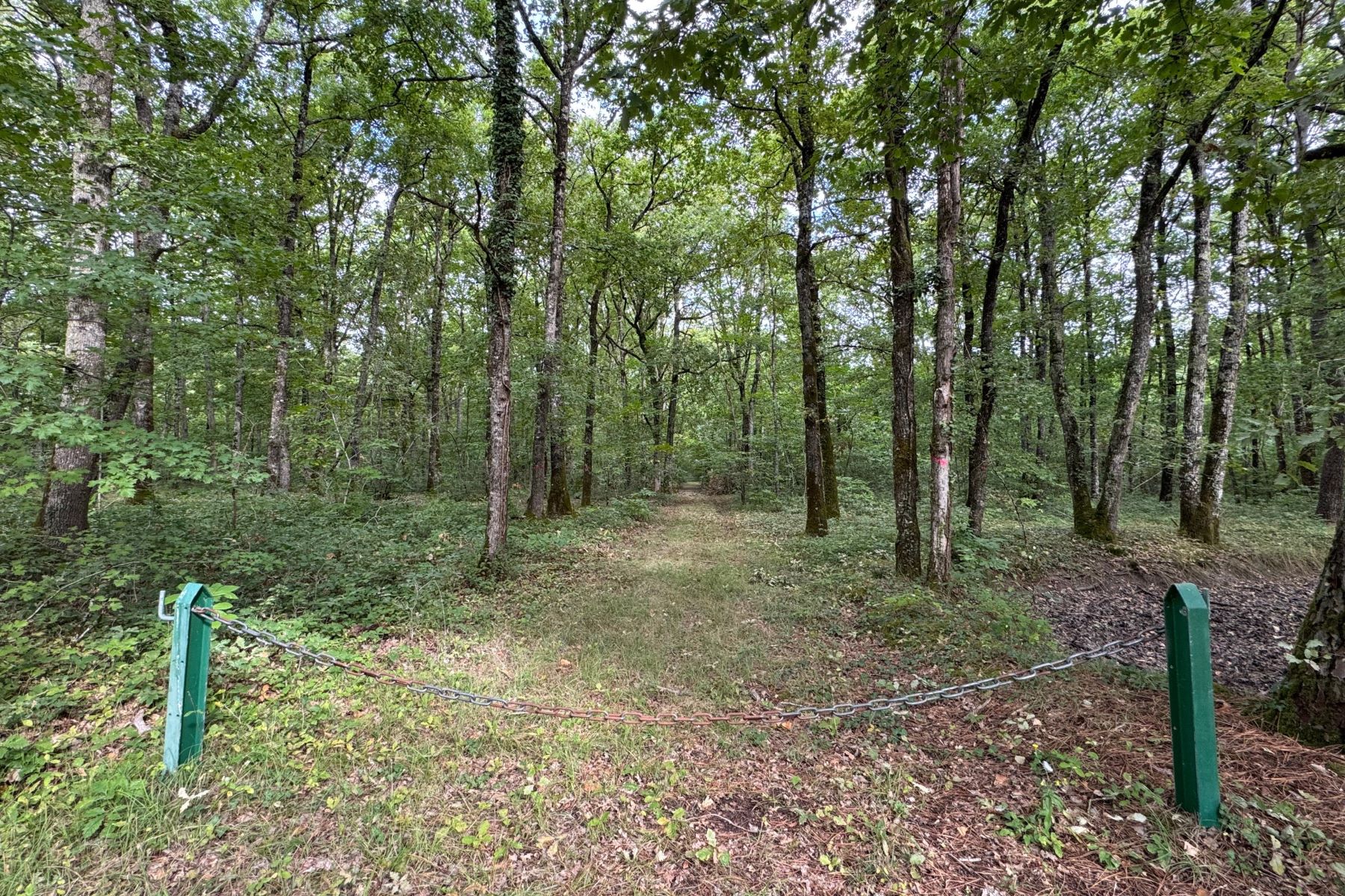 Domaine d'Amboise 11