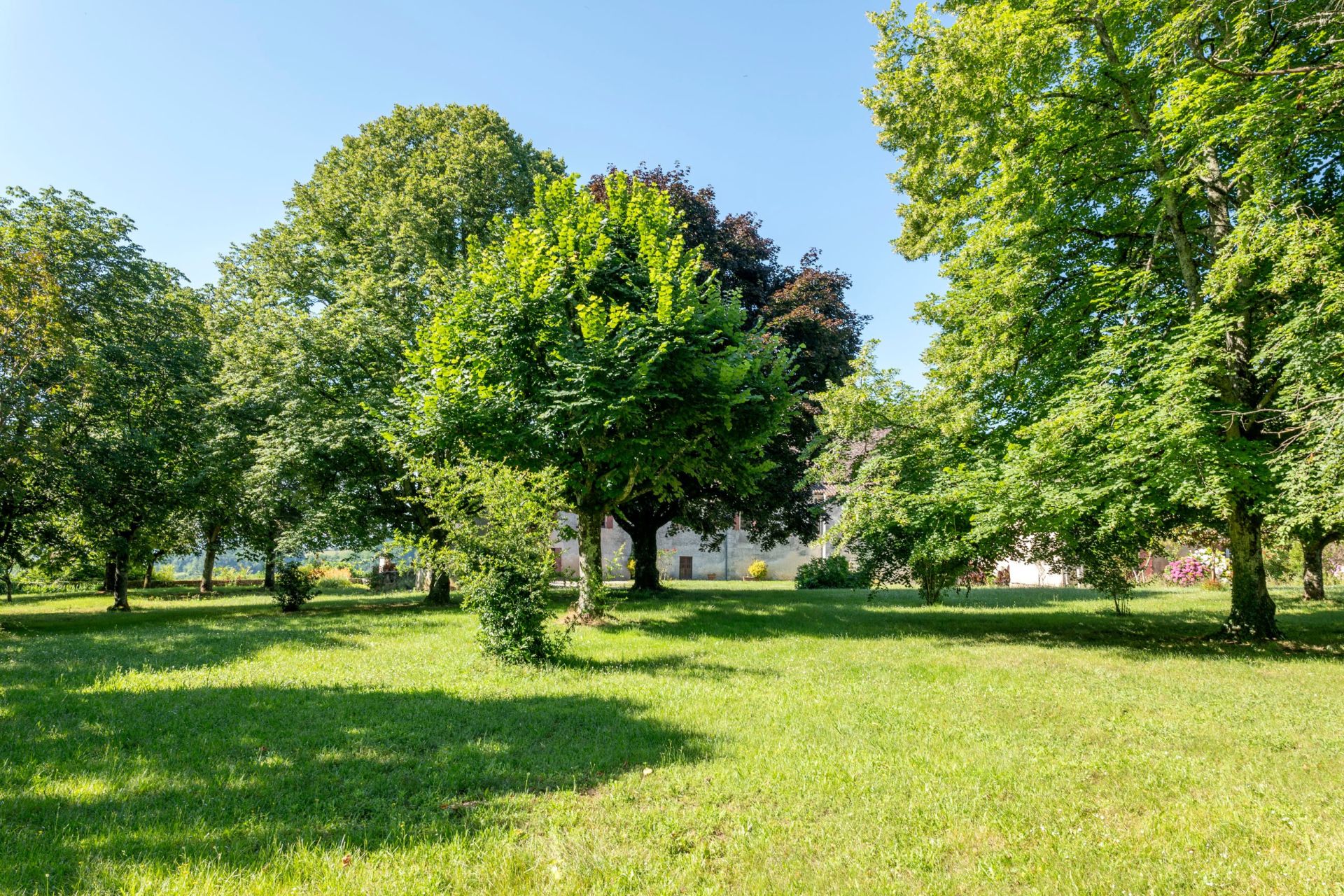 Château de Libourne 14