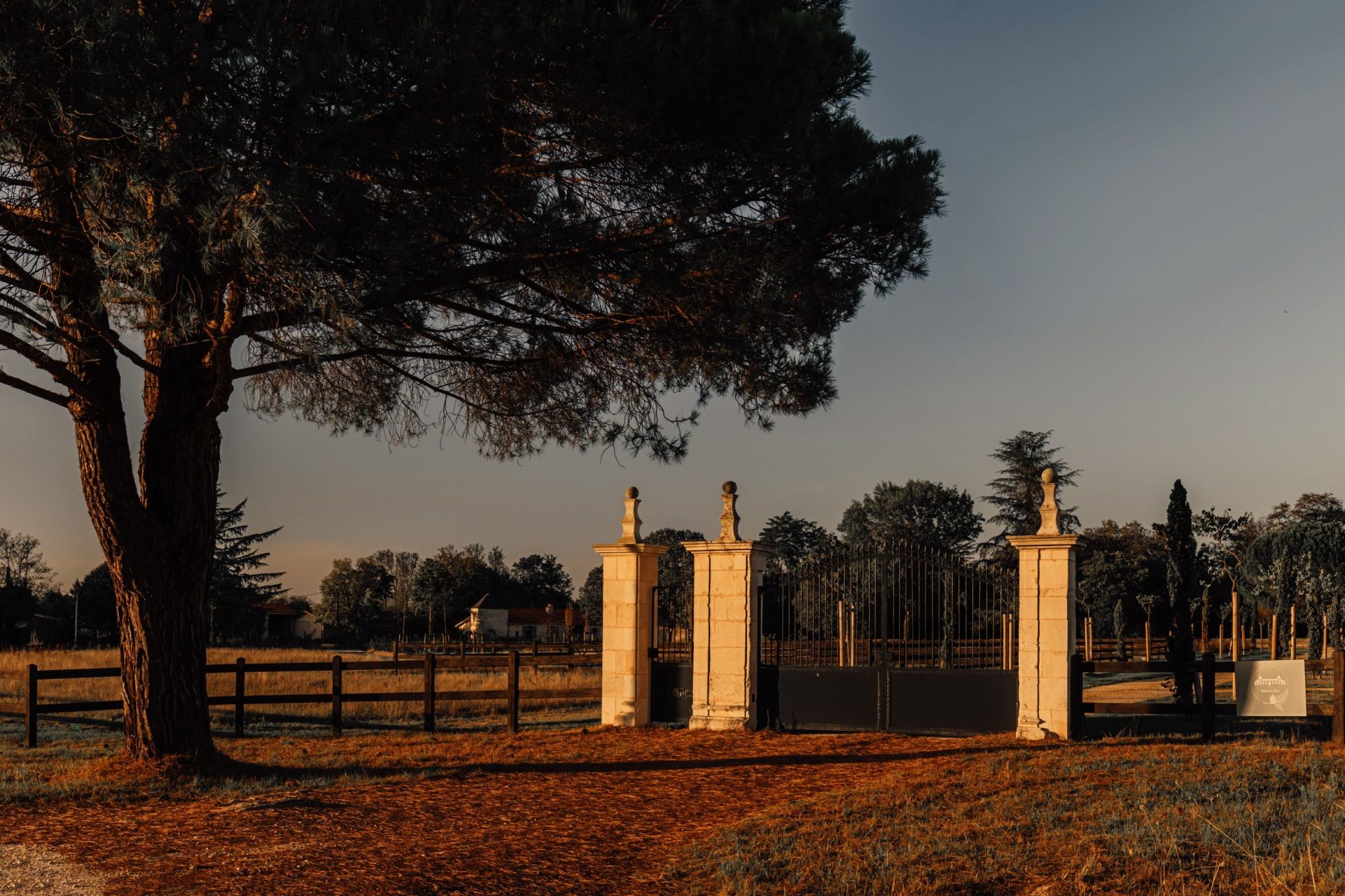 Château Saint-Émilion 15