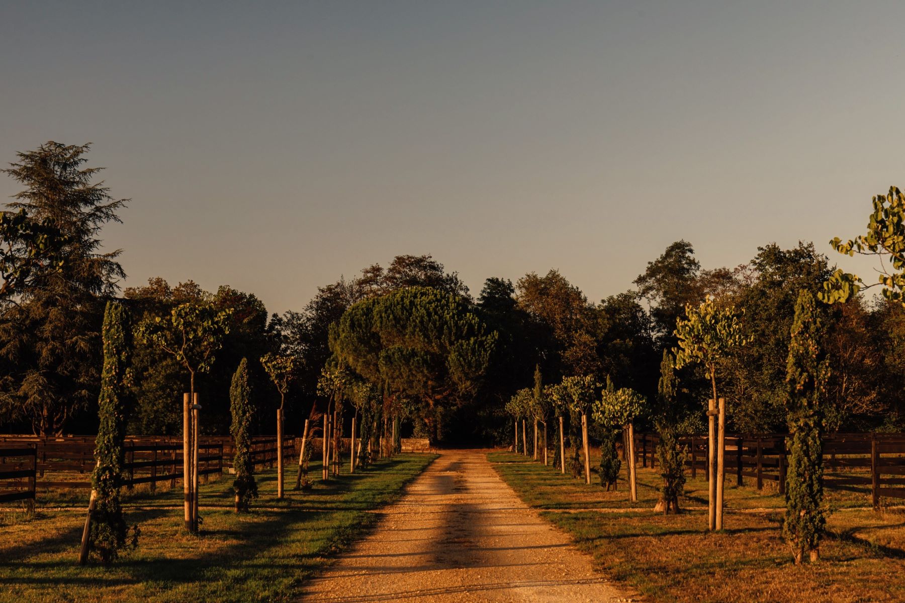 Château de Saint-Julien 9