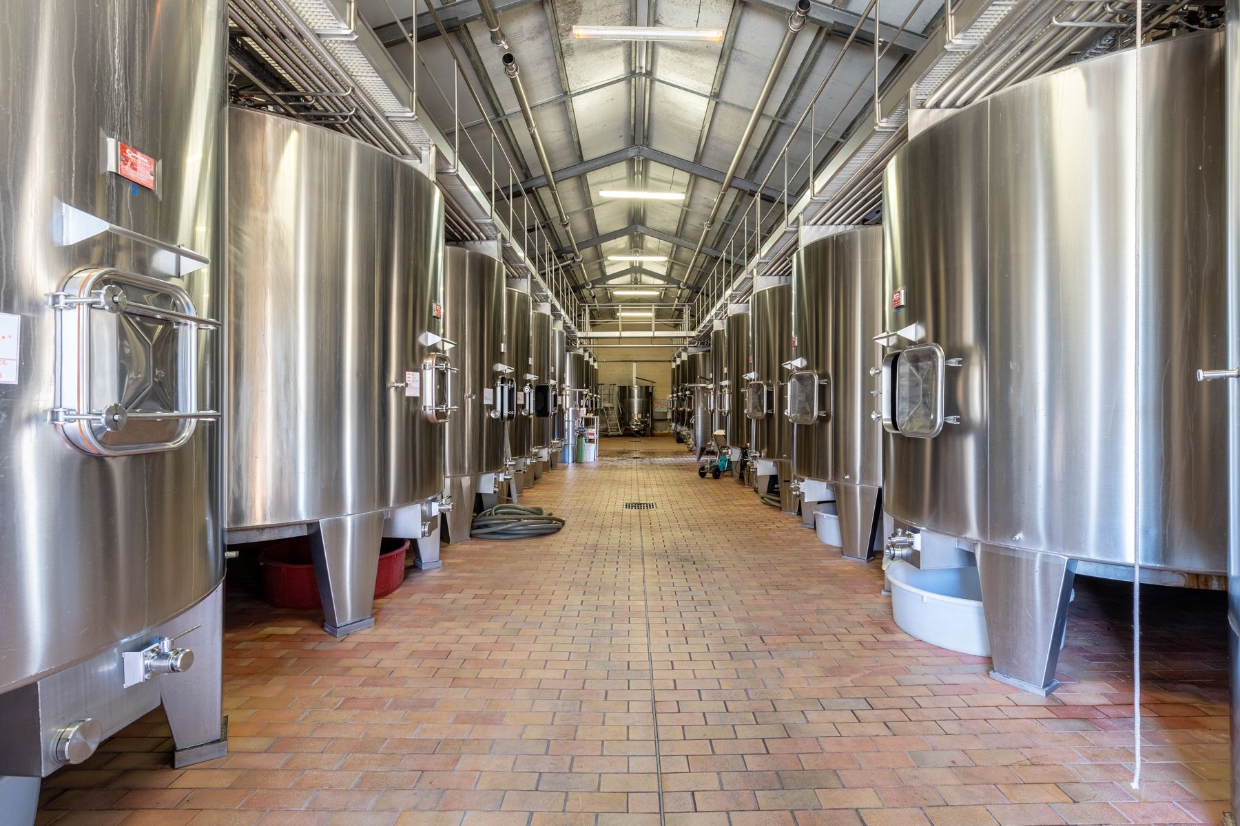 Château de Fronsac 9