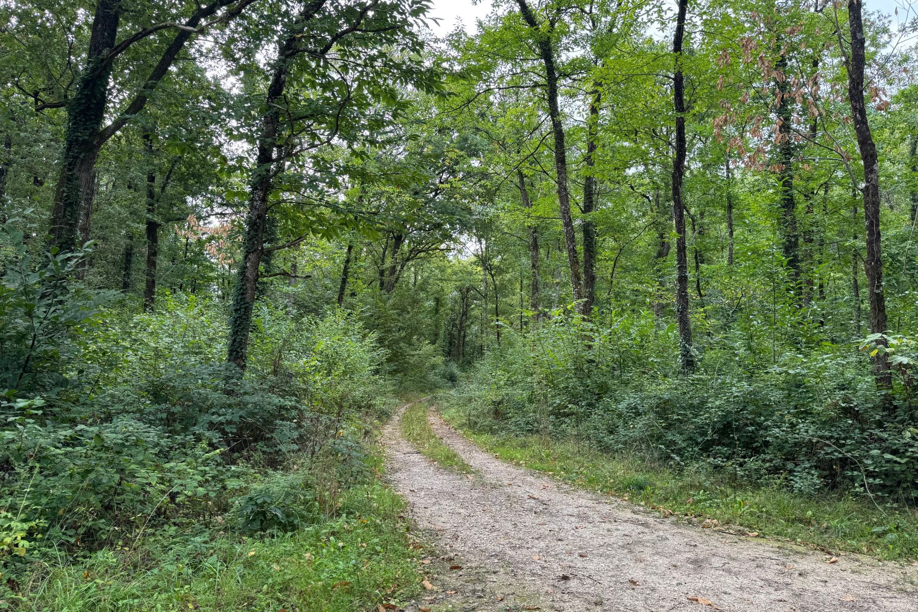 Domaine d'Amboise 12