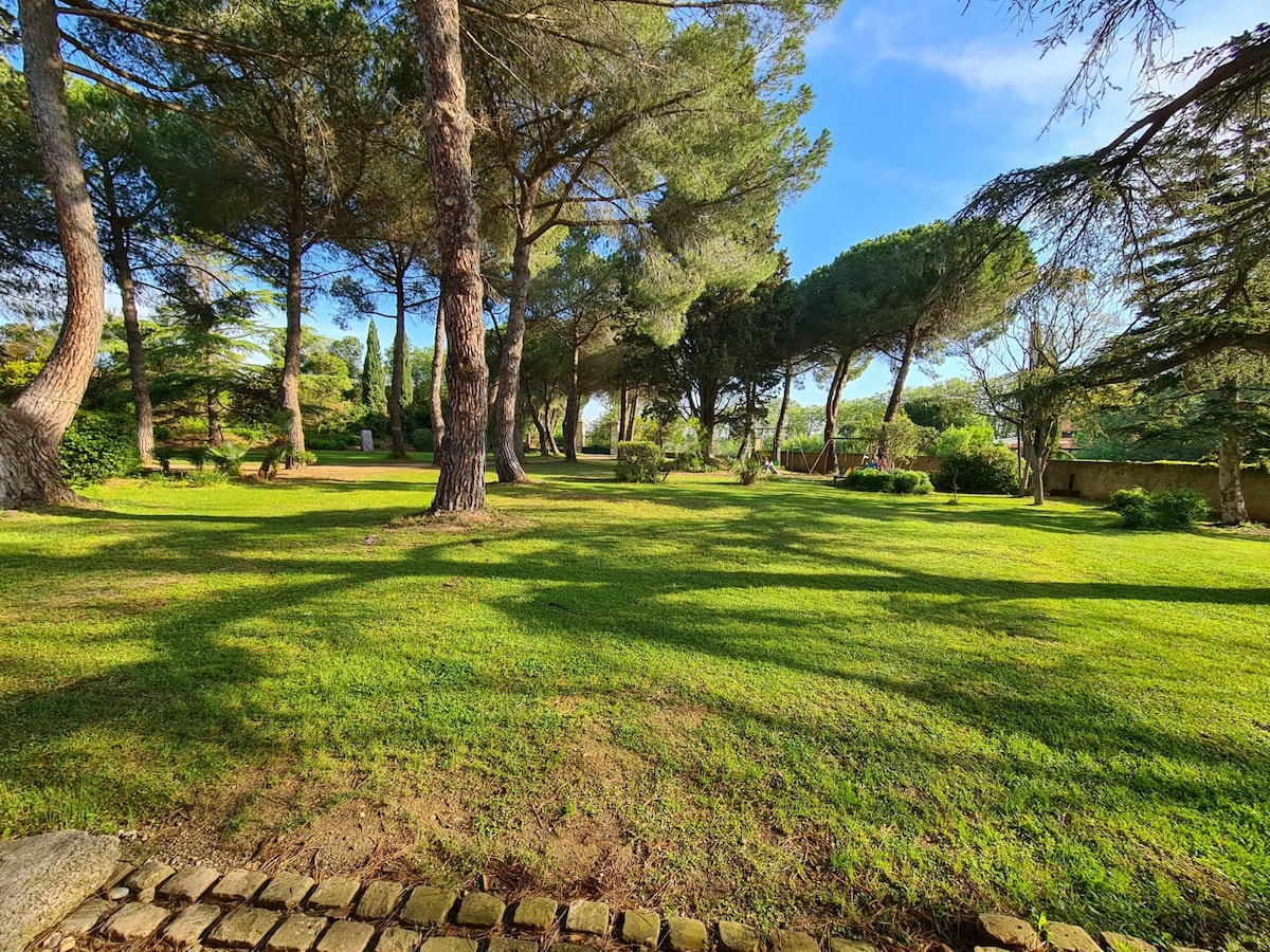 Domaine viticole 3