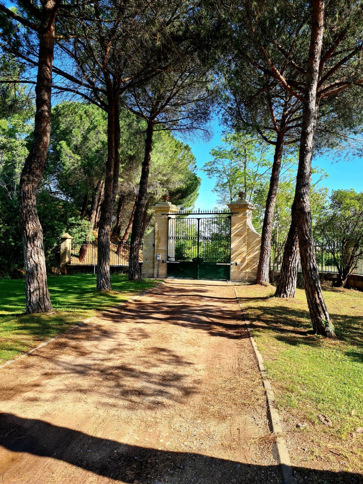 Domaine viticole 4
