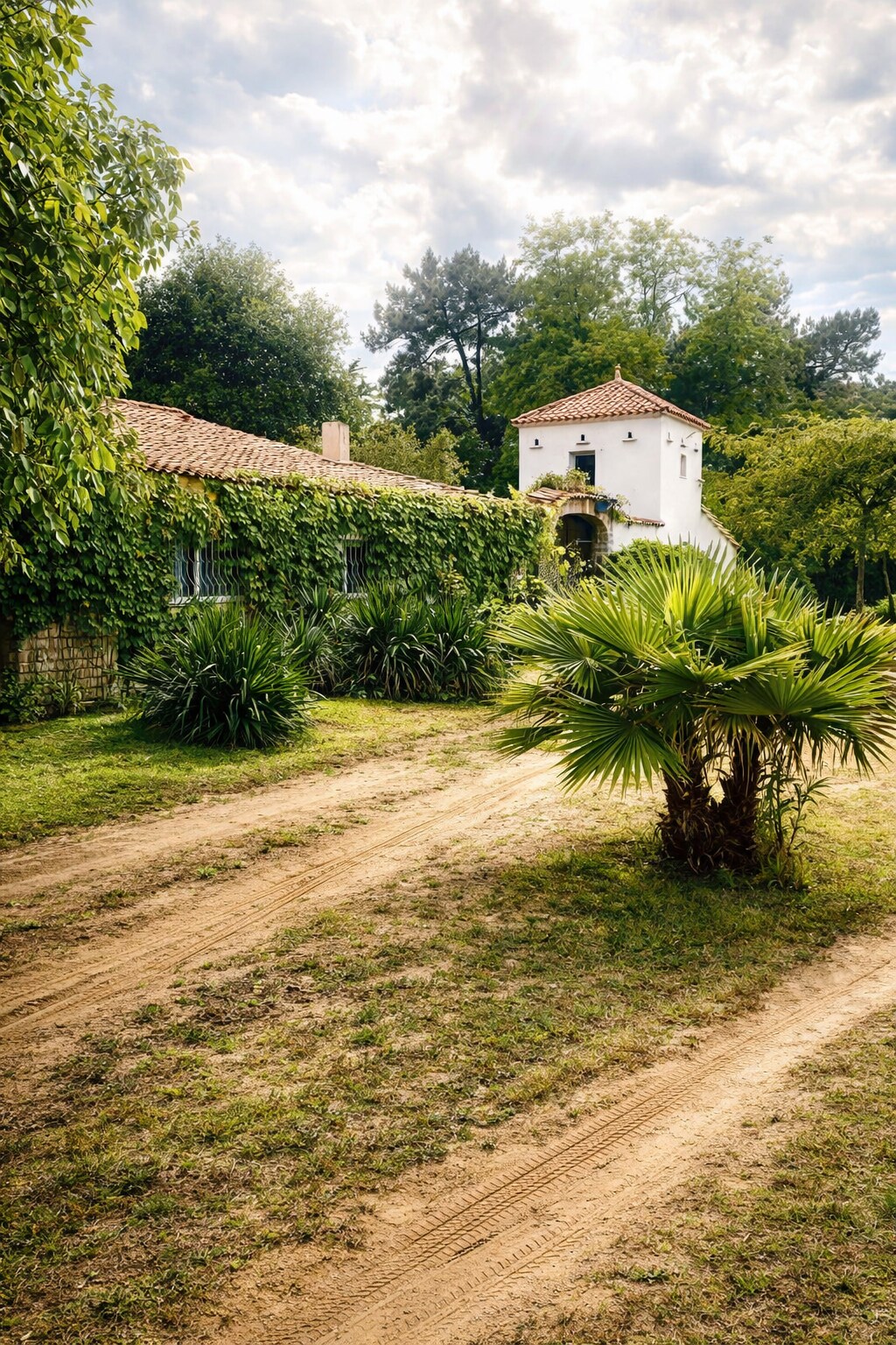 Villa Les Vignes 4