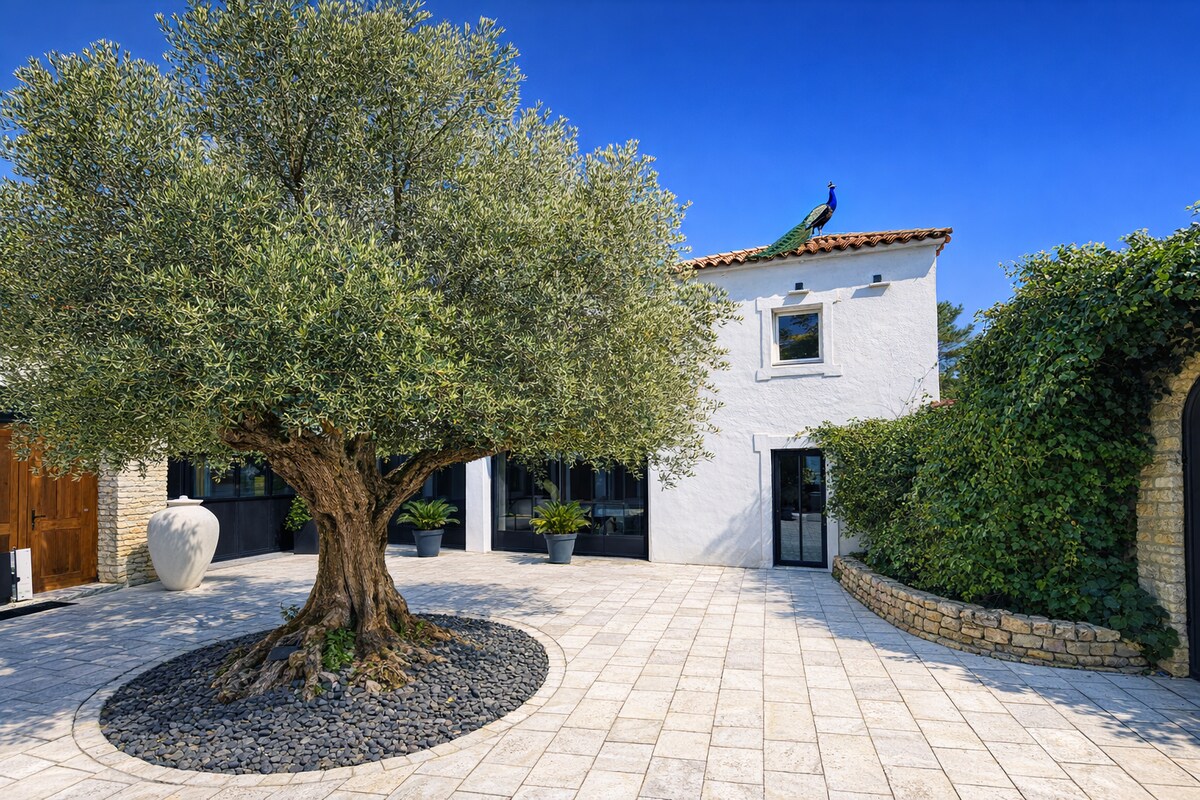 Villa Les Vignes overview 2