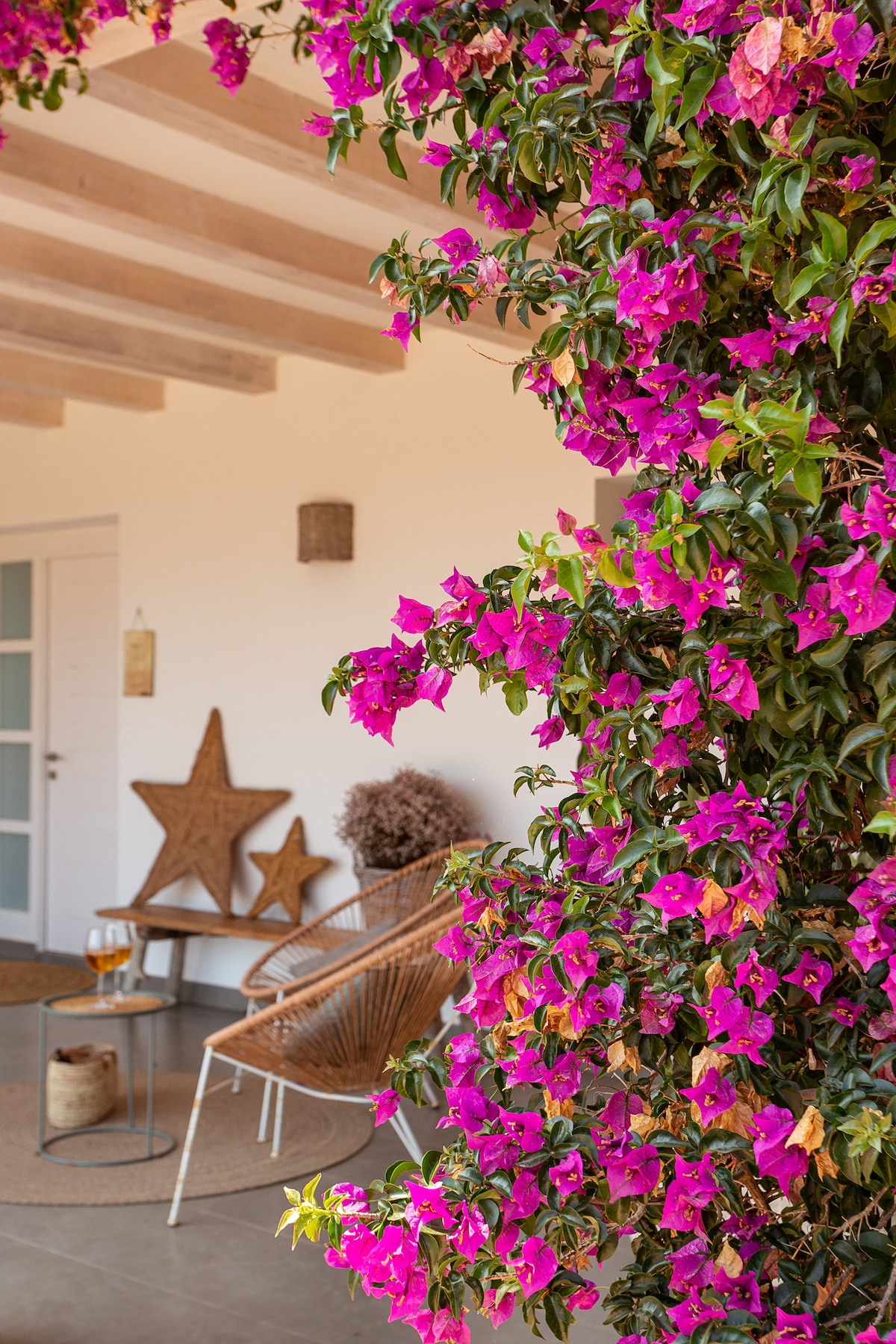 Casa Migjorn overview 2