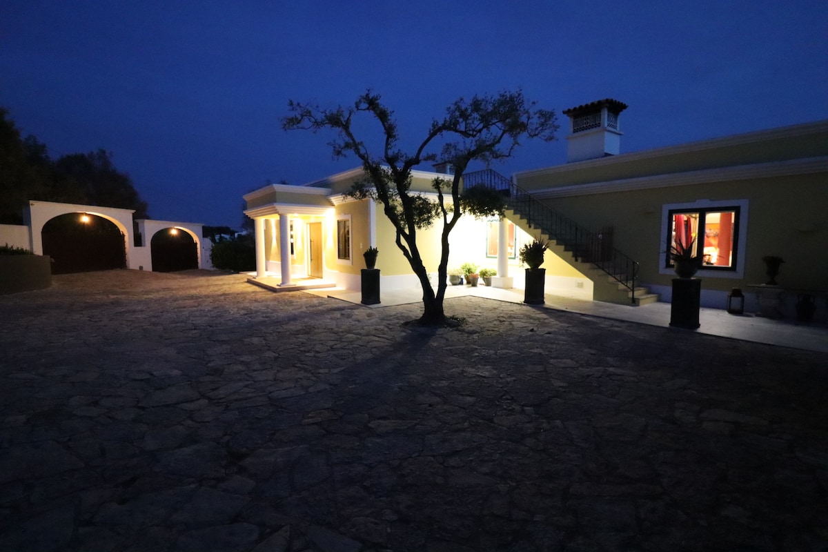 Villa Buganvília overview 2