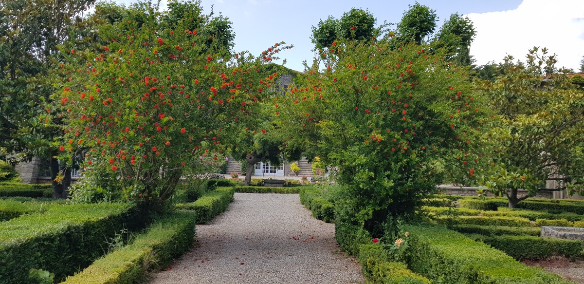Maison des Oliviers overview 2