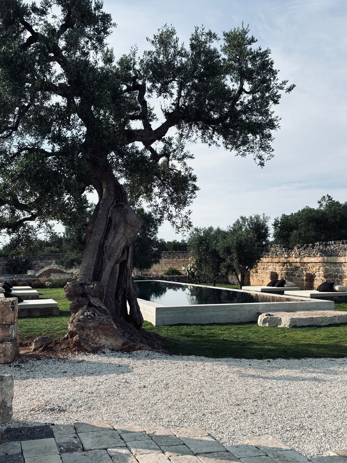 Masseria Stellata 3