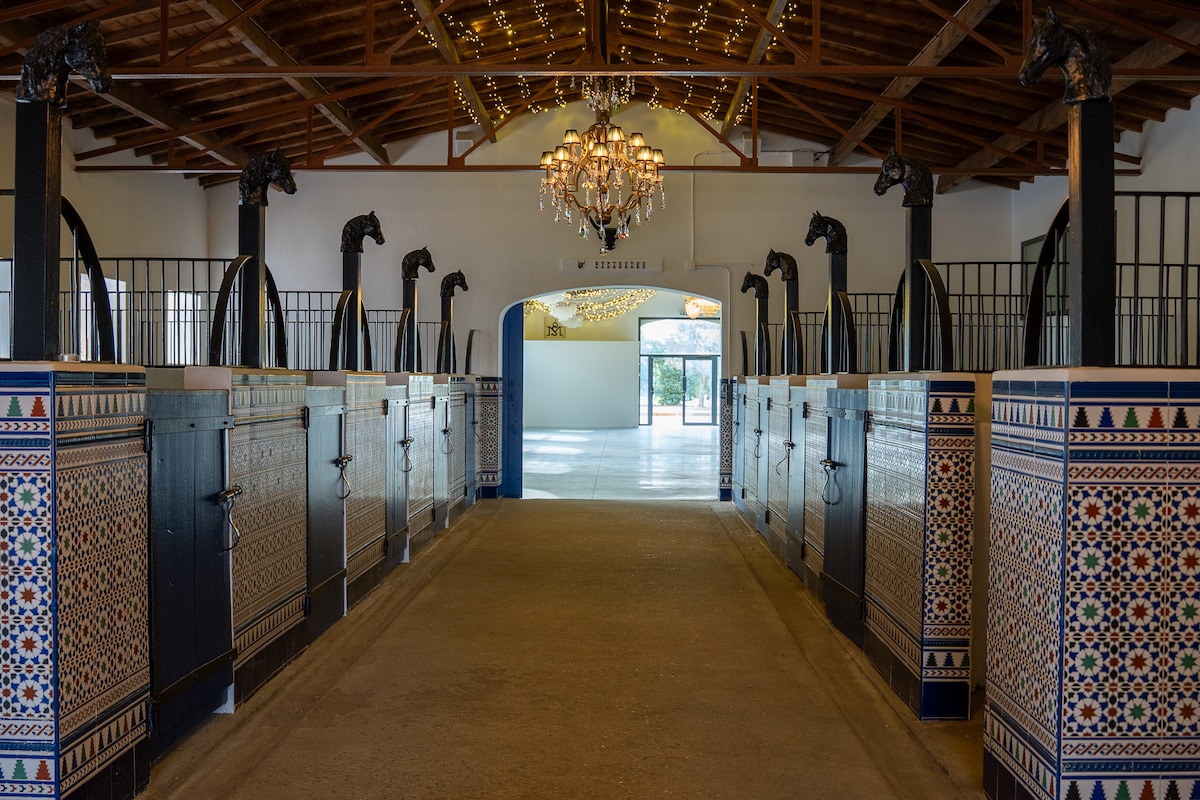 Domaine des Cavaliers overview 1