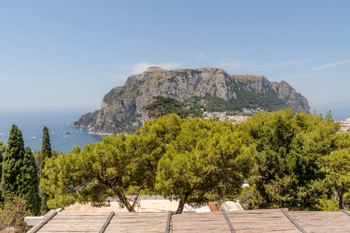 Villa Grotta Azzurra 4
