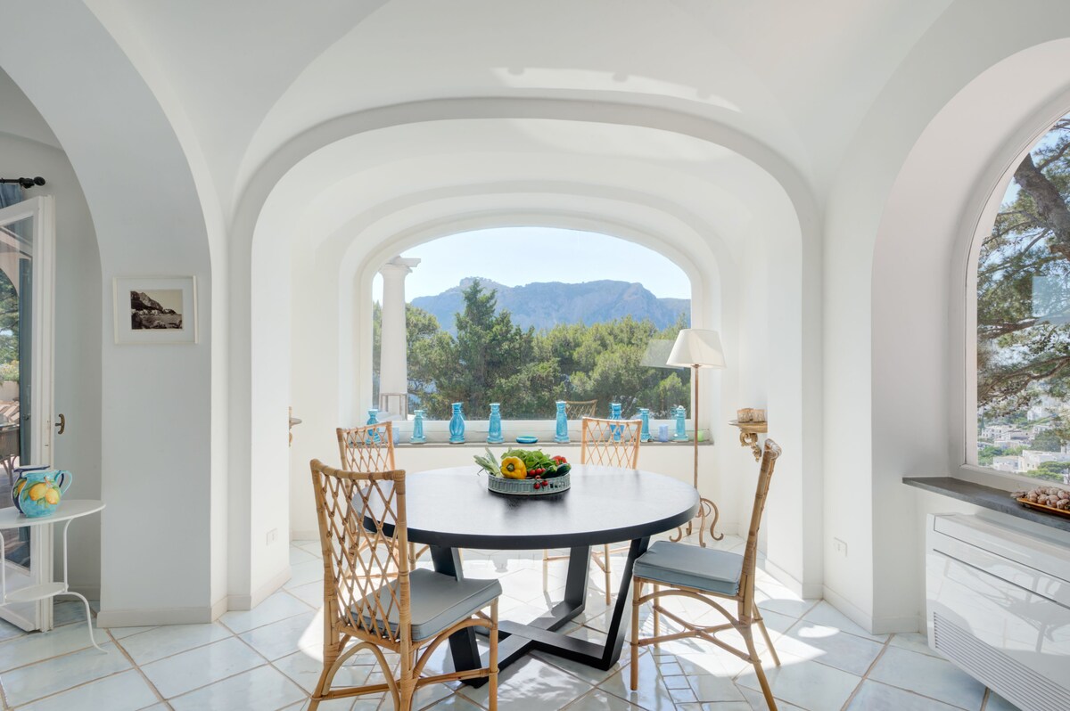 Villa Grotta Azzurra overview 3