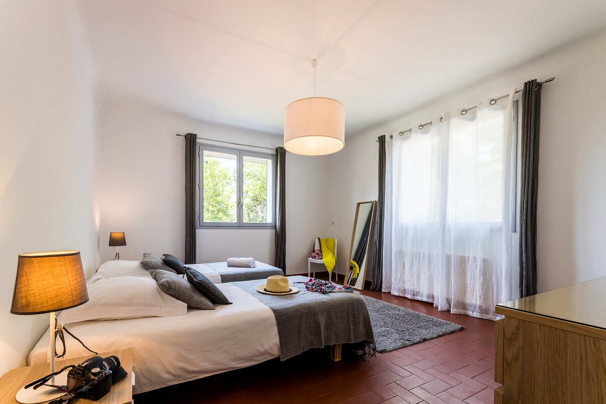 Domaine Larre overview 2