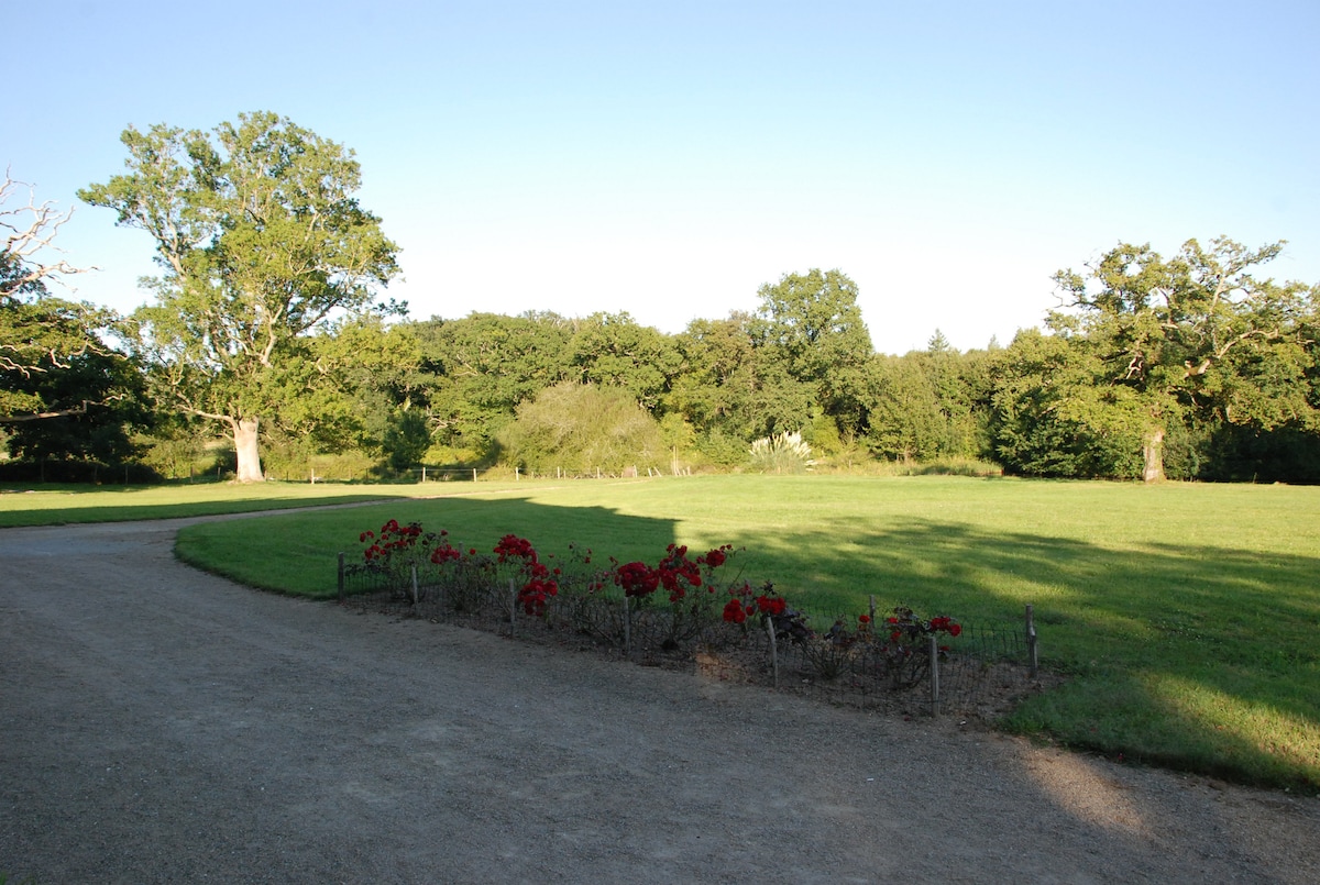Domaine de Pierre Levée 5