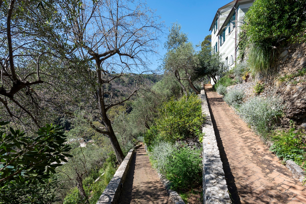 Casa Pescatore overview 2