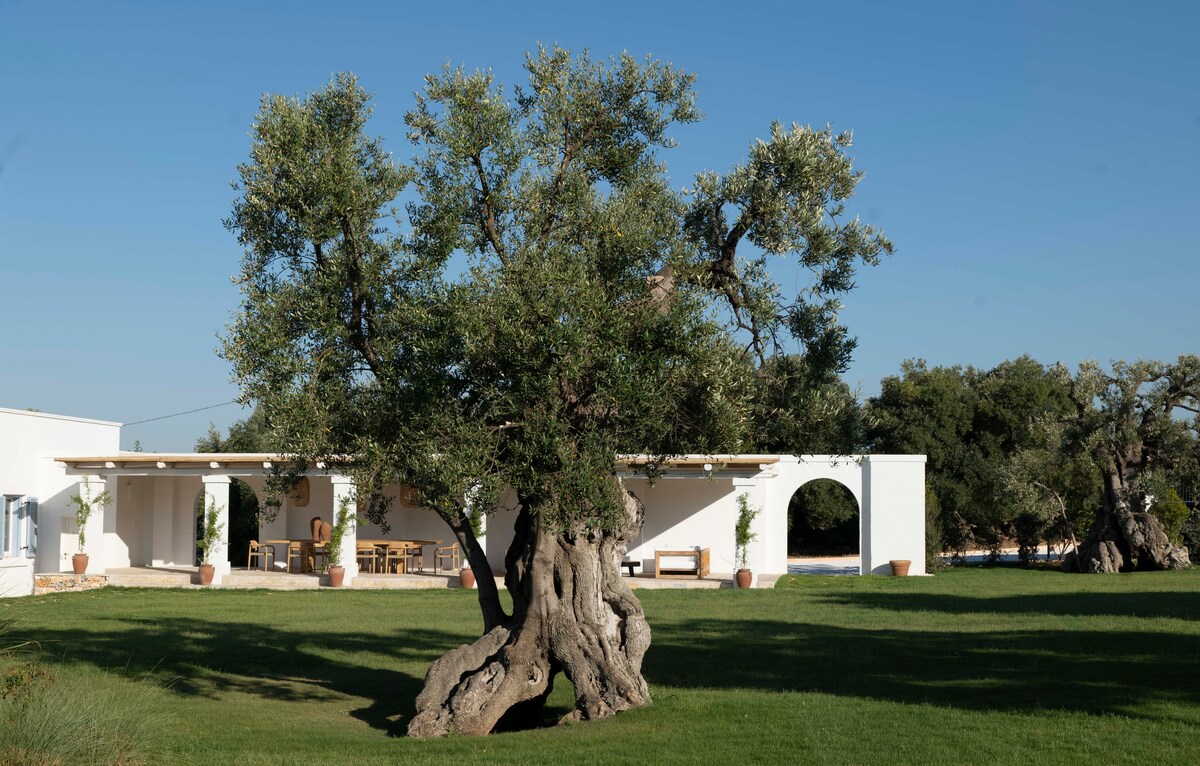 Masseria Serena overview 2
