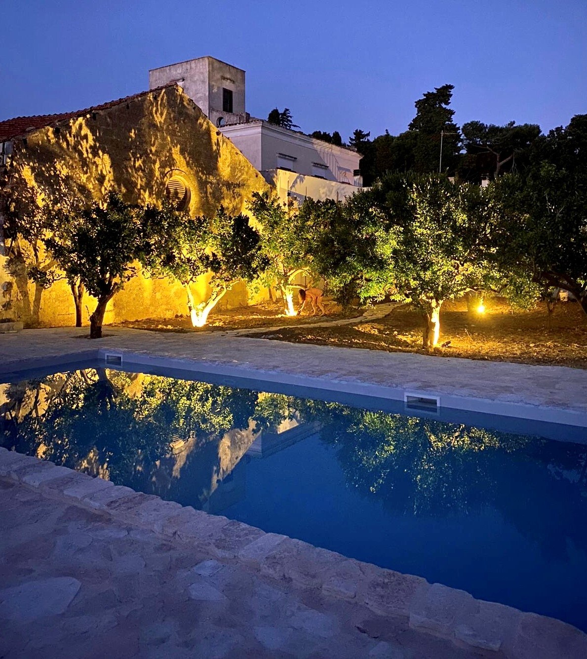 Masseria Trullo overview 3