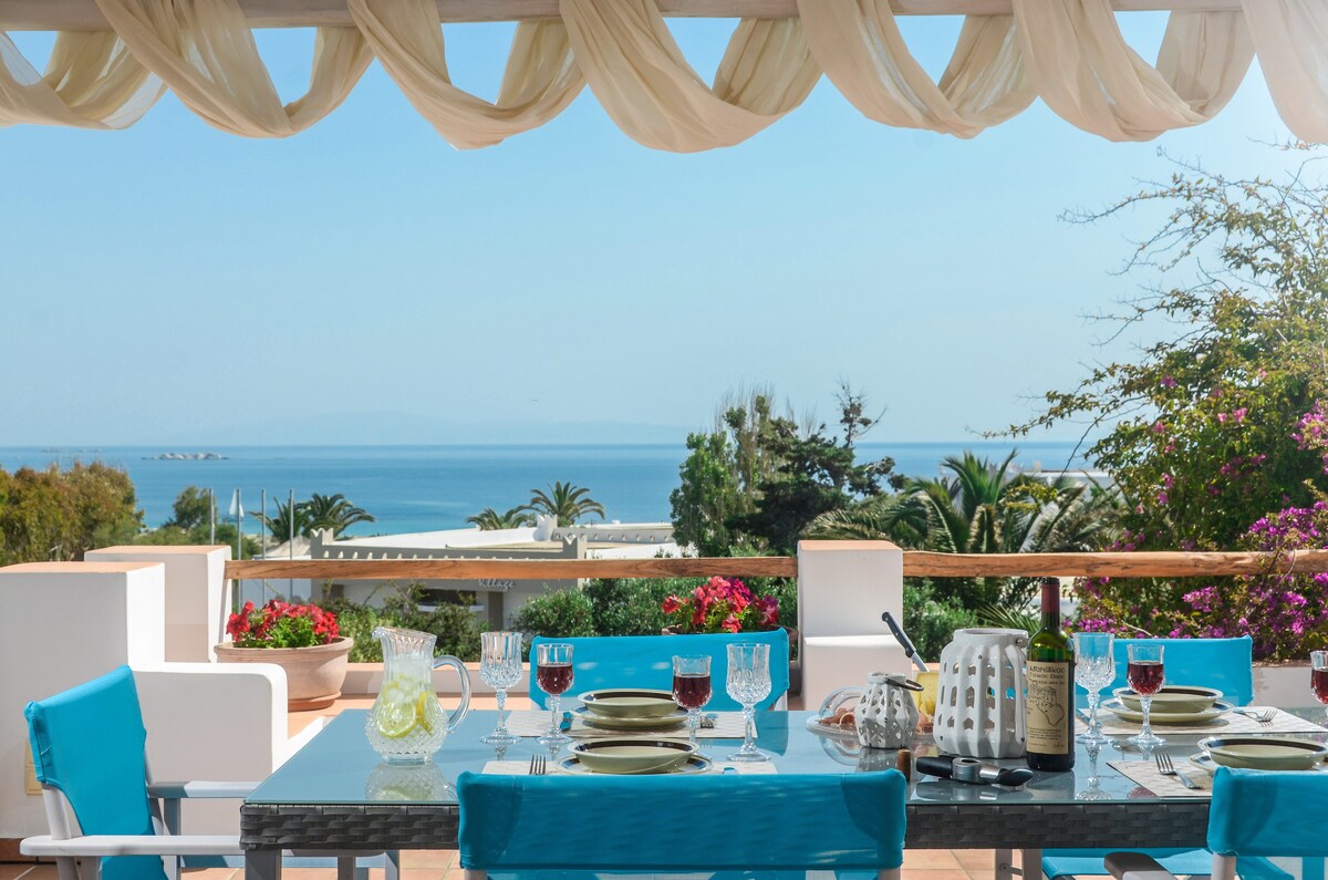 Villa Portara overview 1