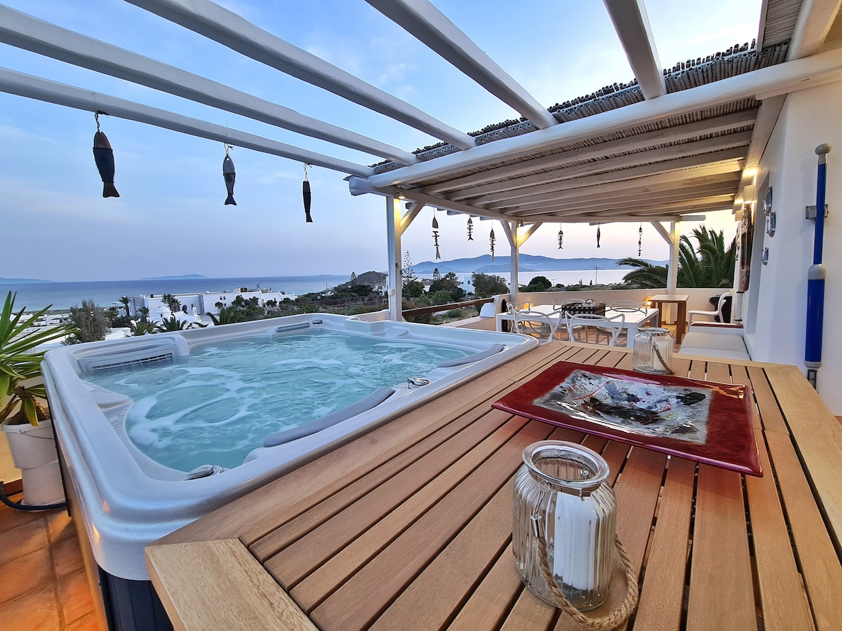 Villa Portara overview 3