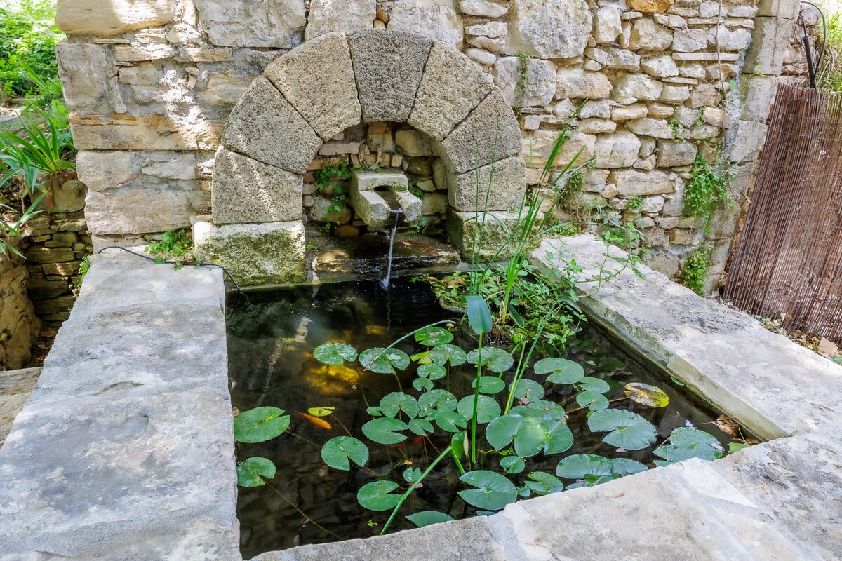 Mas de Forcalquier overview 3