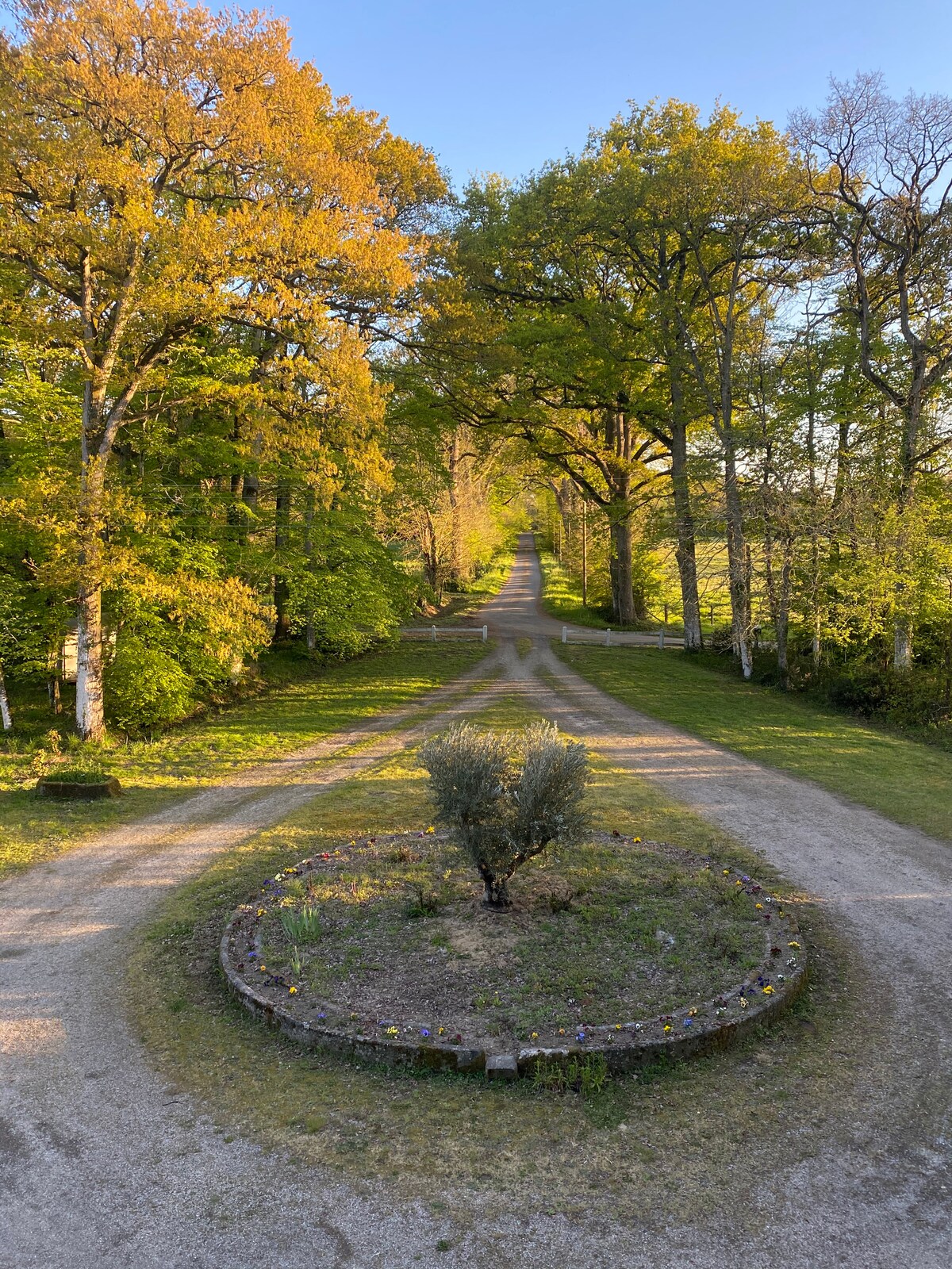 Manoir de Brocéliande overview 1