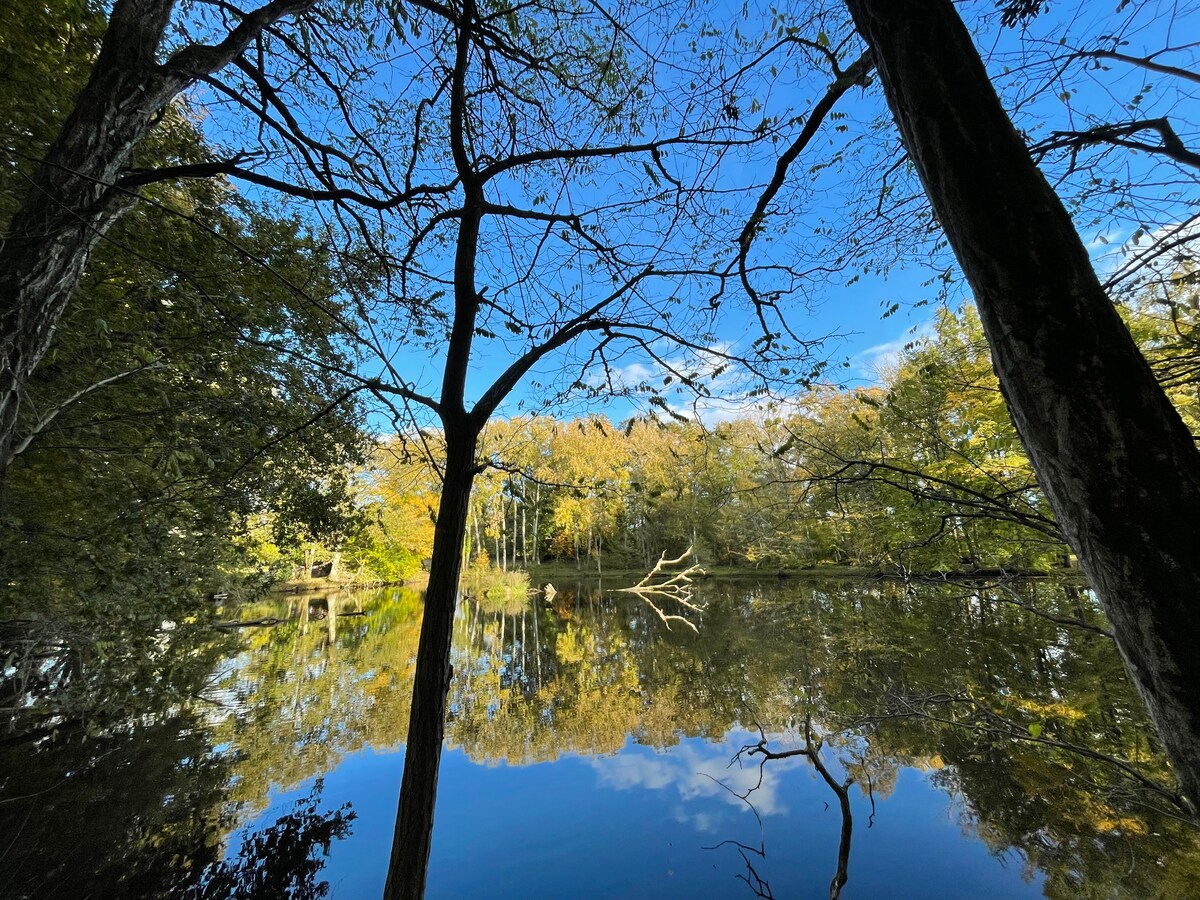 Manoir de Brocéliande overview 2