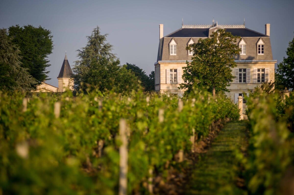 Château Malescasse 5