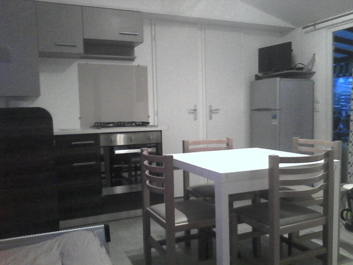 Maison La Palmyre 3