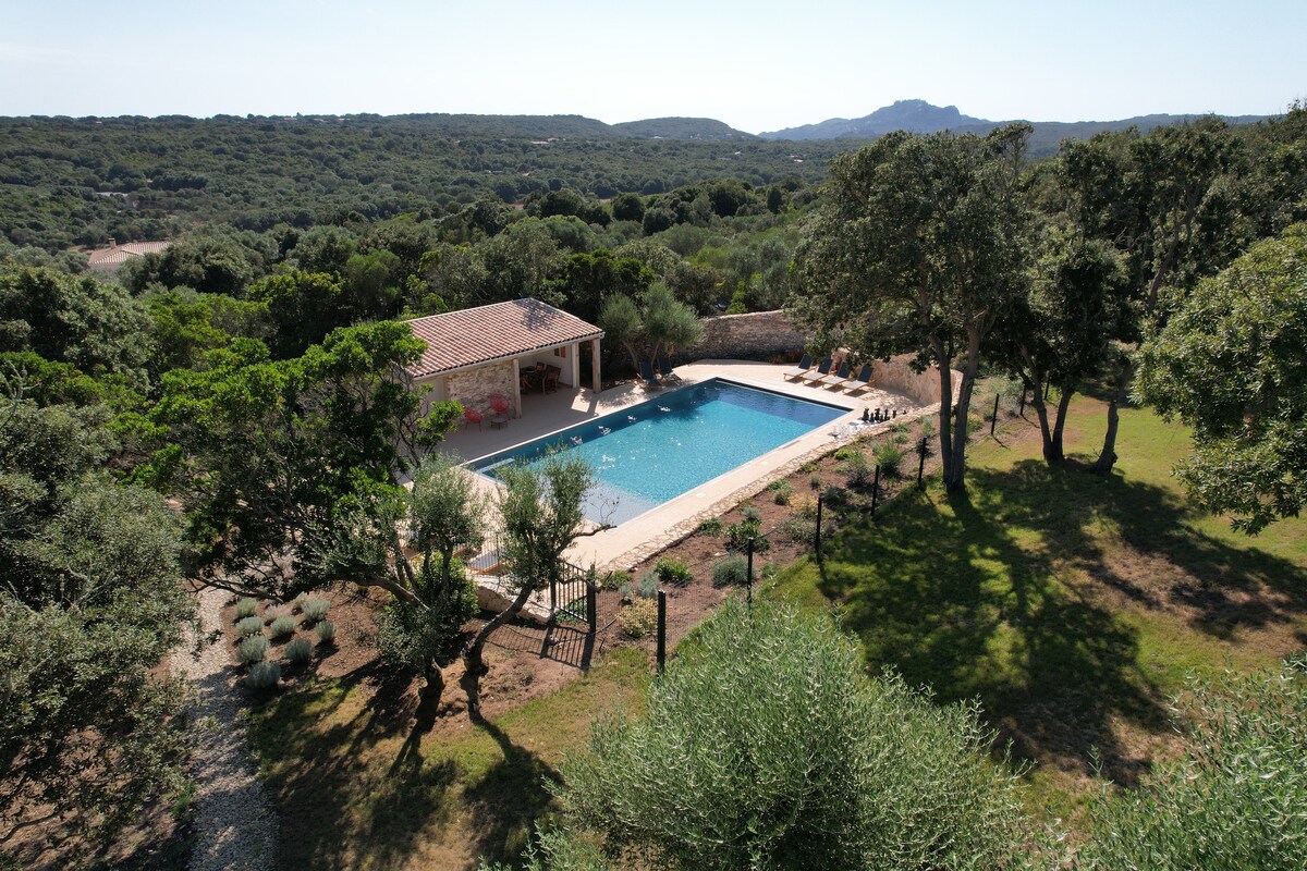 Casa Sdragonato 4