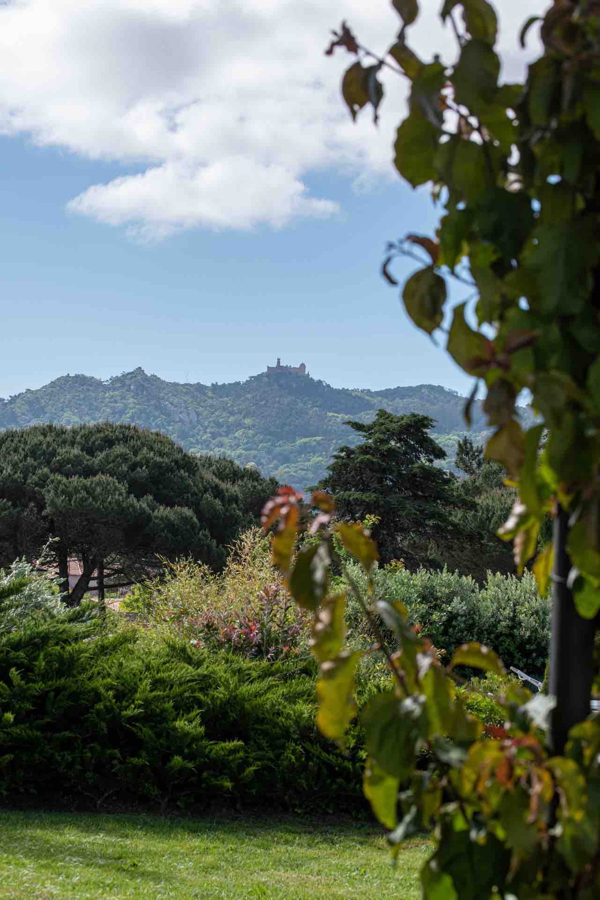 Villa Penedo 5