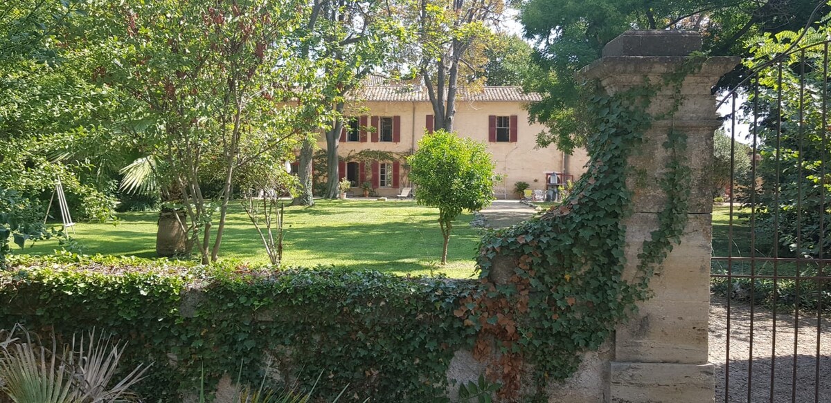 Mas de Saint-Rémy 4