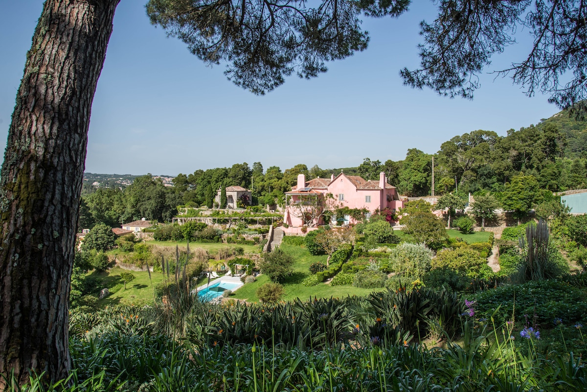 Villa Seteais overview 2