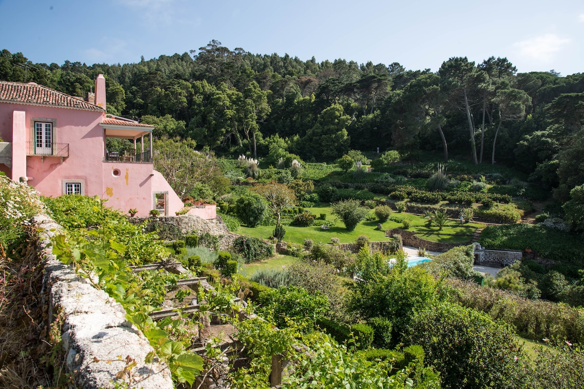Villa Seteais overview 3