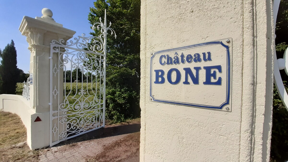 Château Bone overview 2