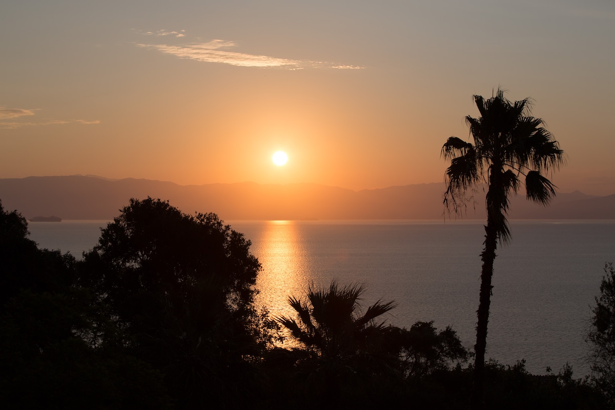 Villa Olea overview 2