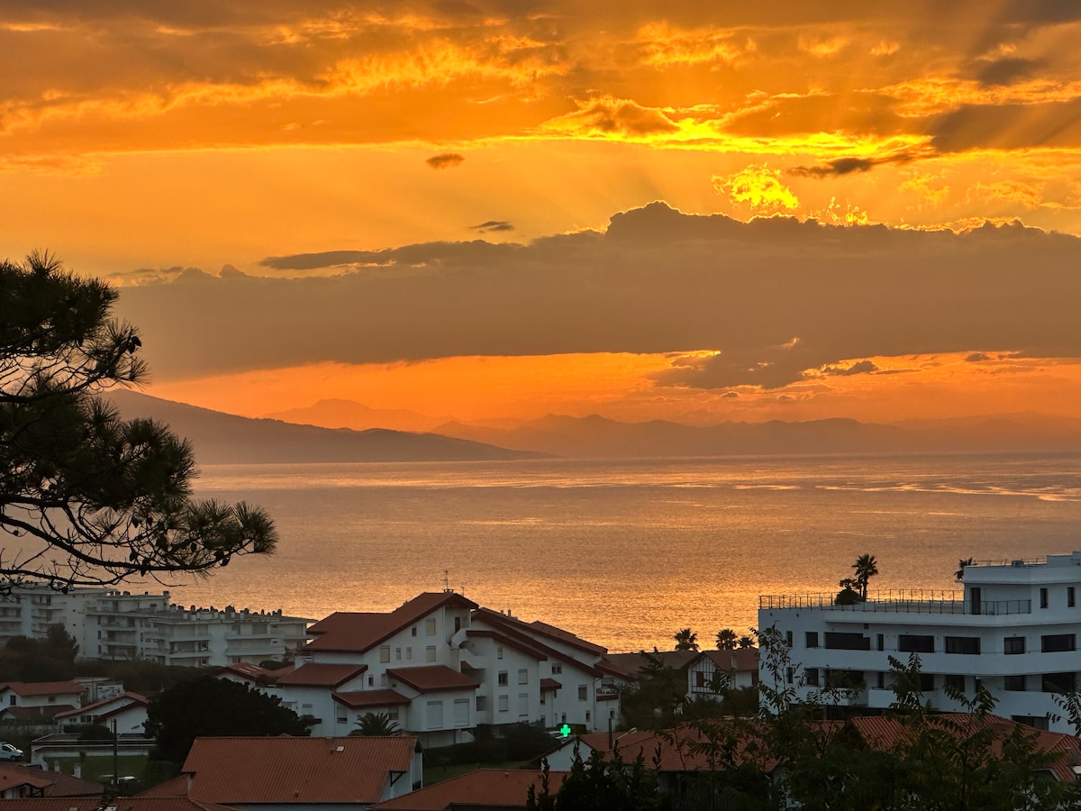 Villa Marbella overview 1