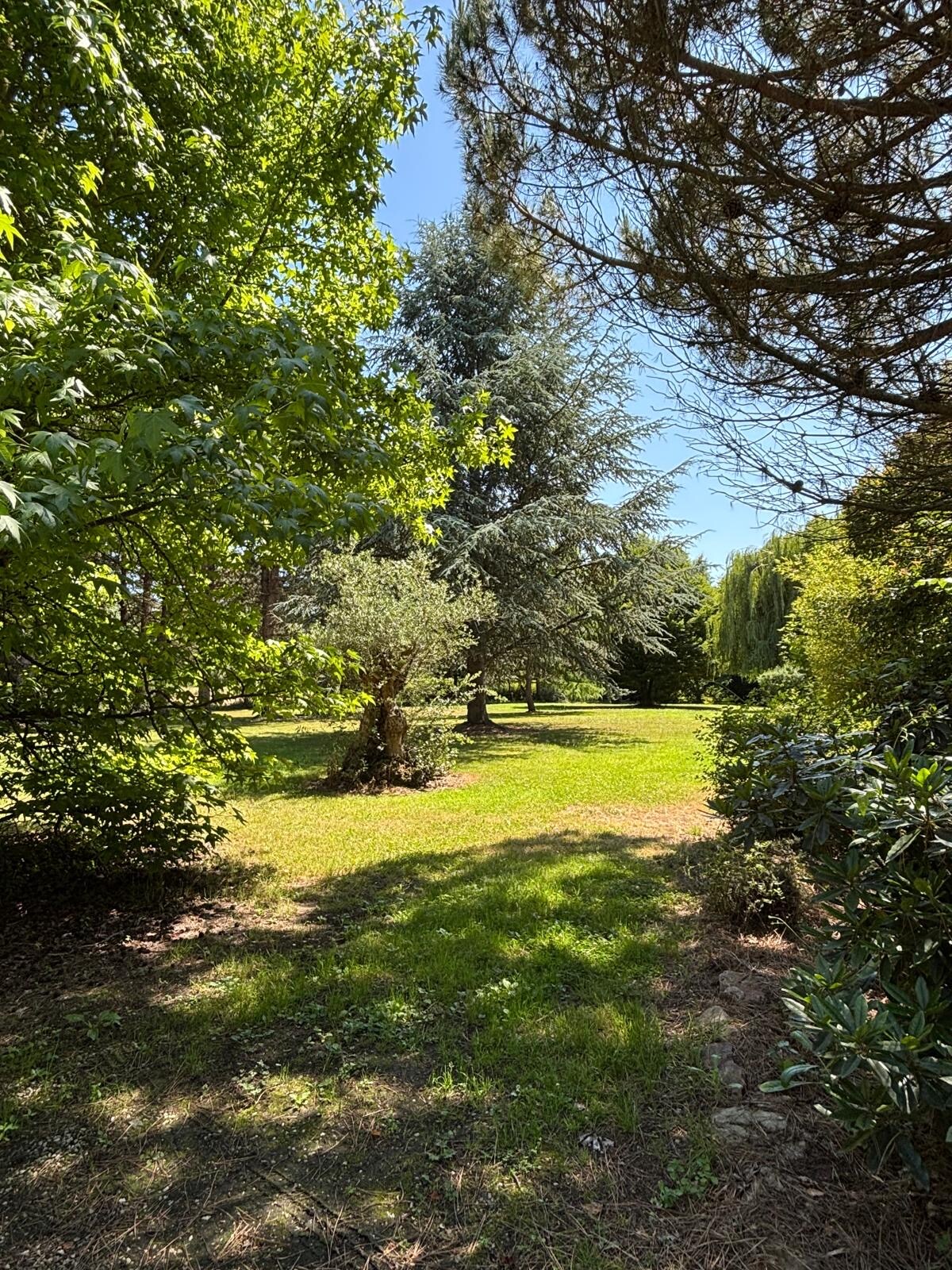 Villa Les Dunes Cabourg overview 2