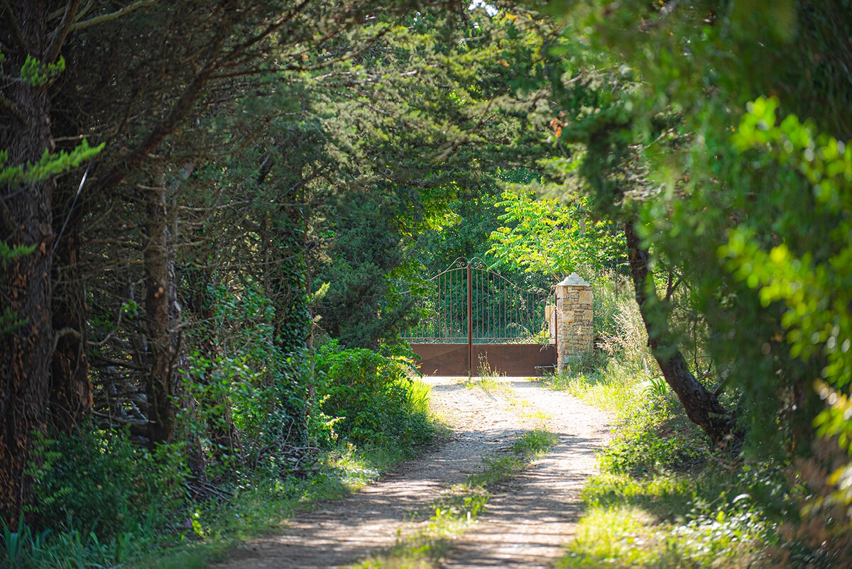 Mas du Chemin des Puits 2