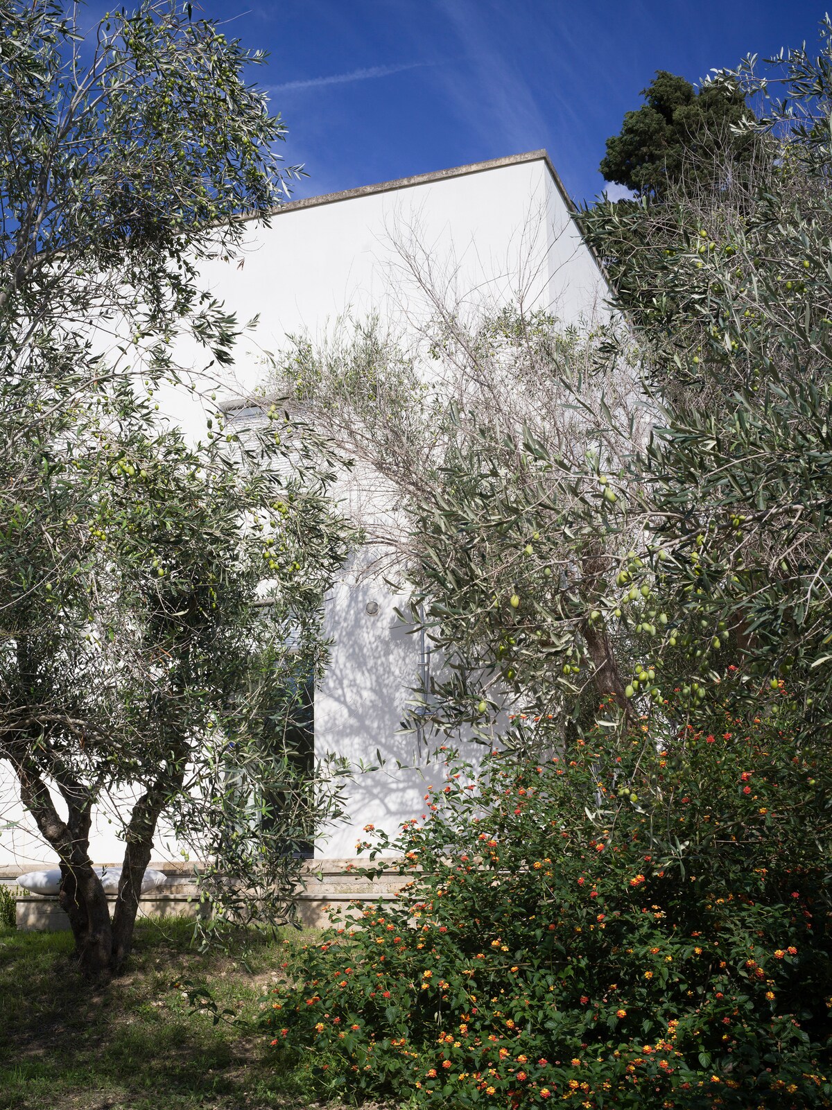 Masseria Giardino overview 3