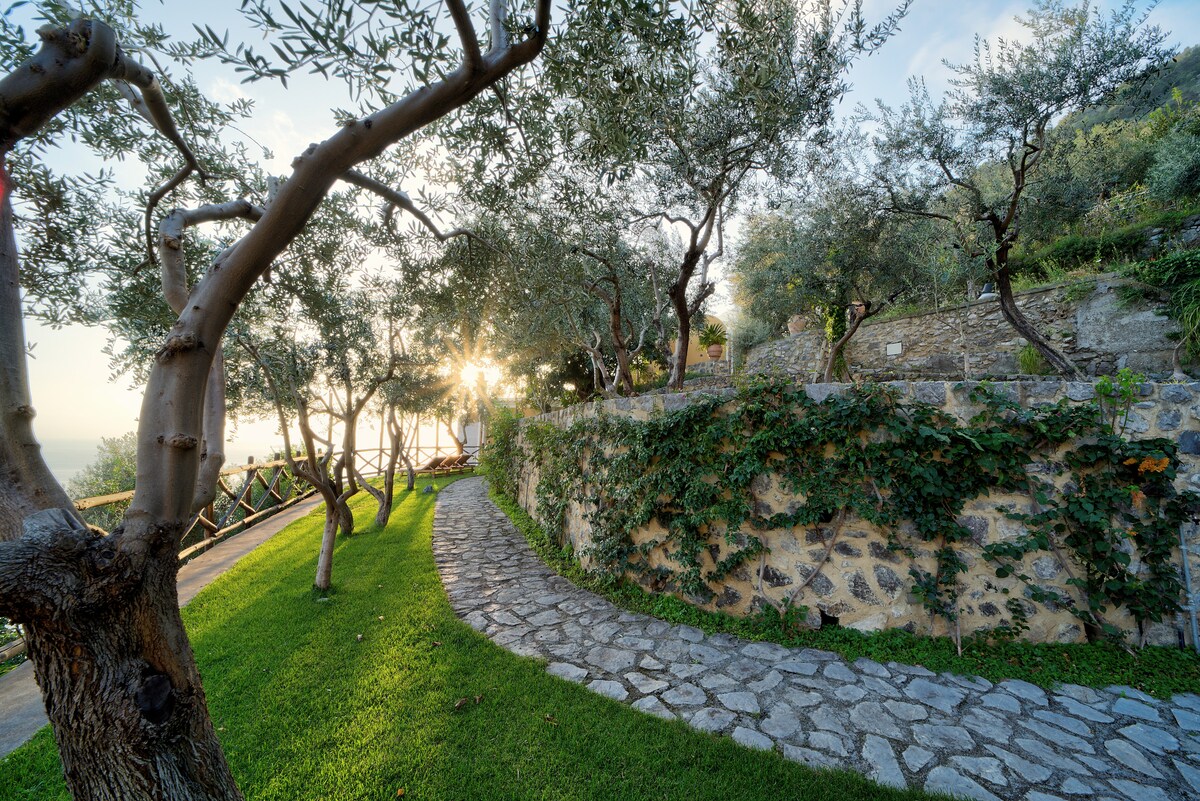 Villa Positano 5