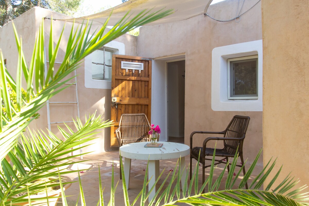 Villa Cala Saona 2
