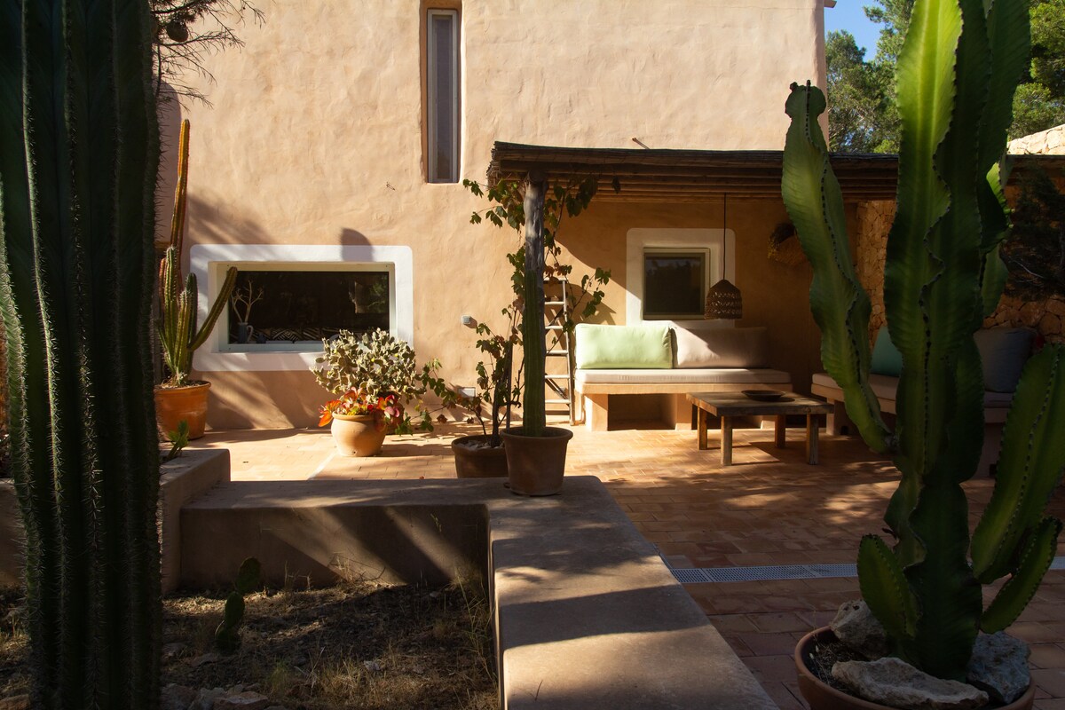 Villa Cala Saona 3