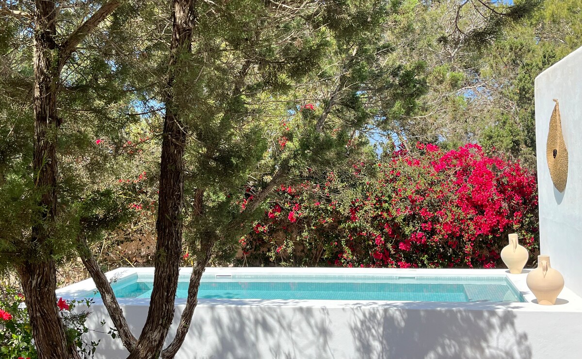Villa Los Dragos 3