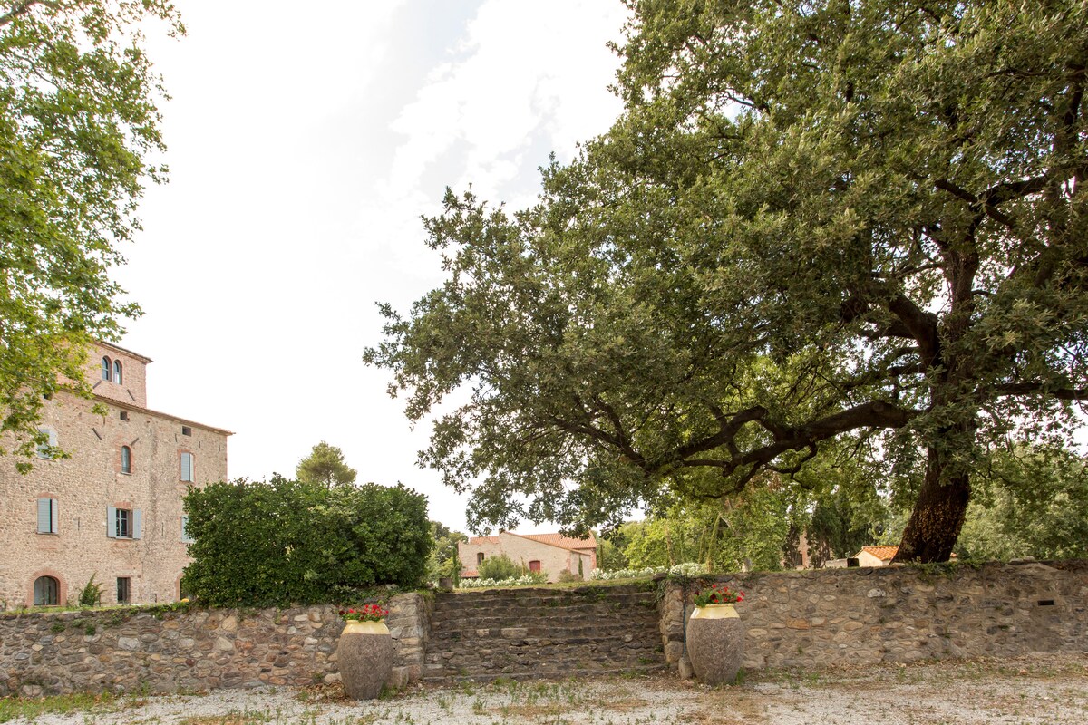 Château de Villeclare overview 1