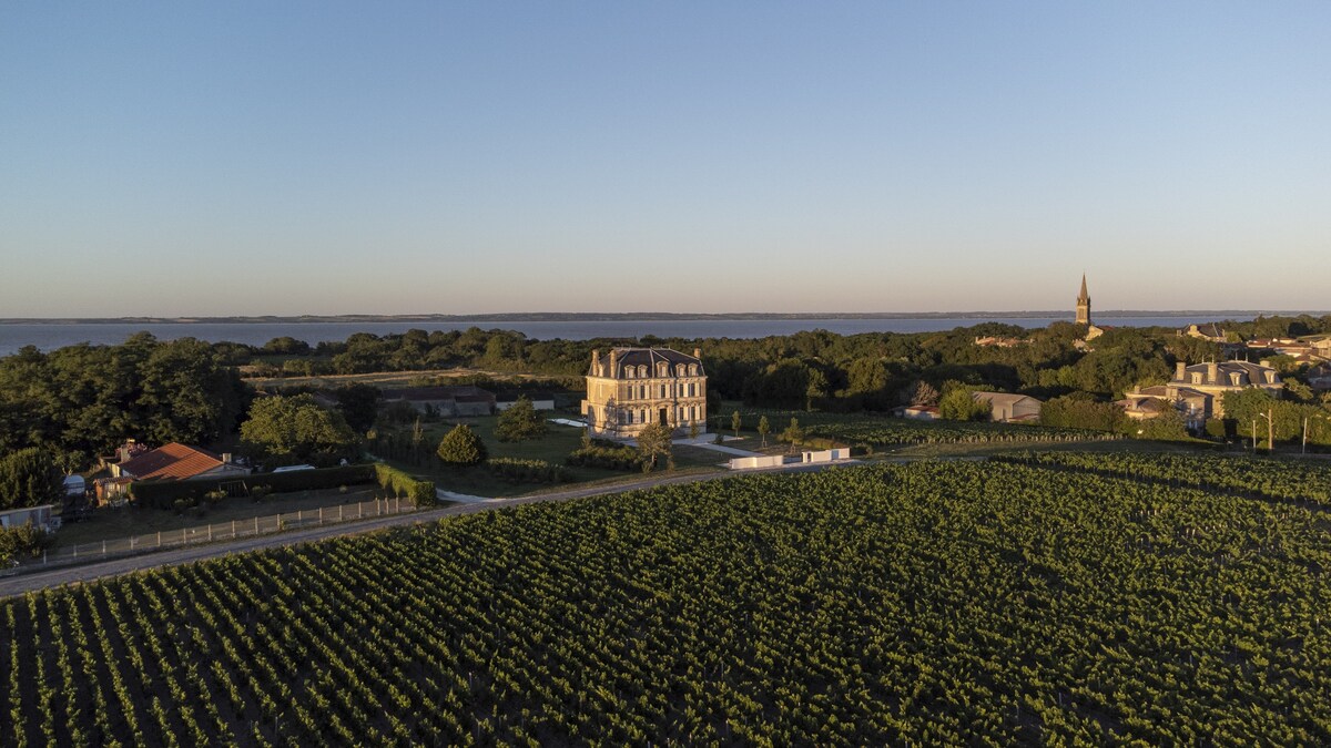 Château Leboscq overview 2