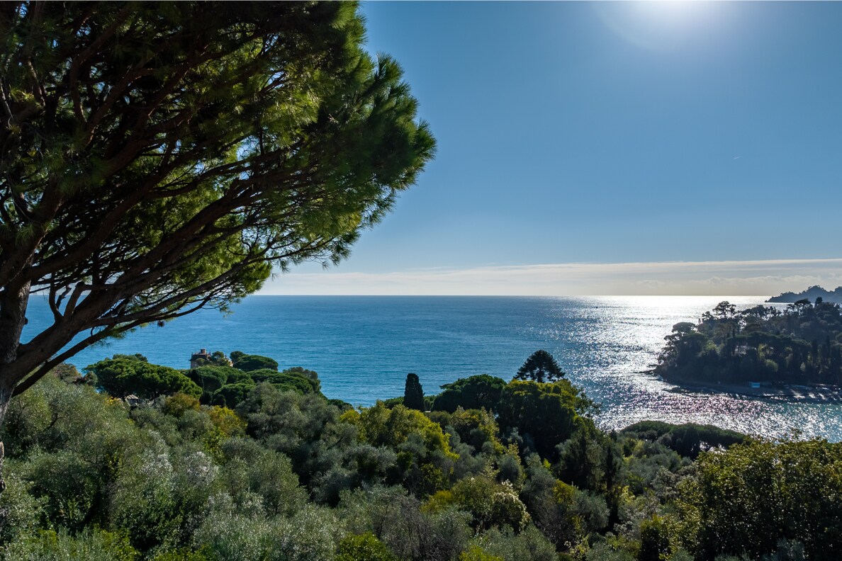 Villa Oliveto overview 1