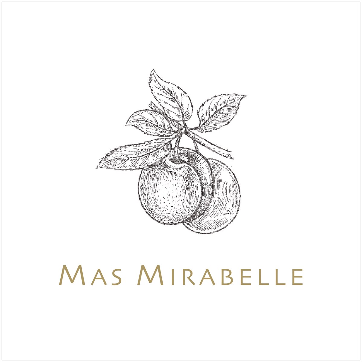 Mas Mirabelle 5