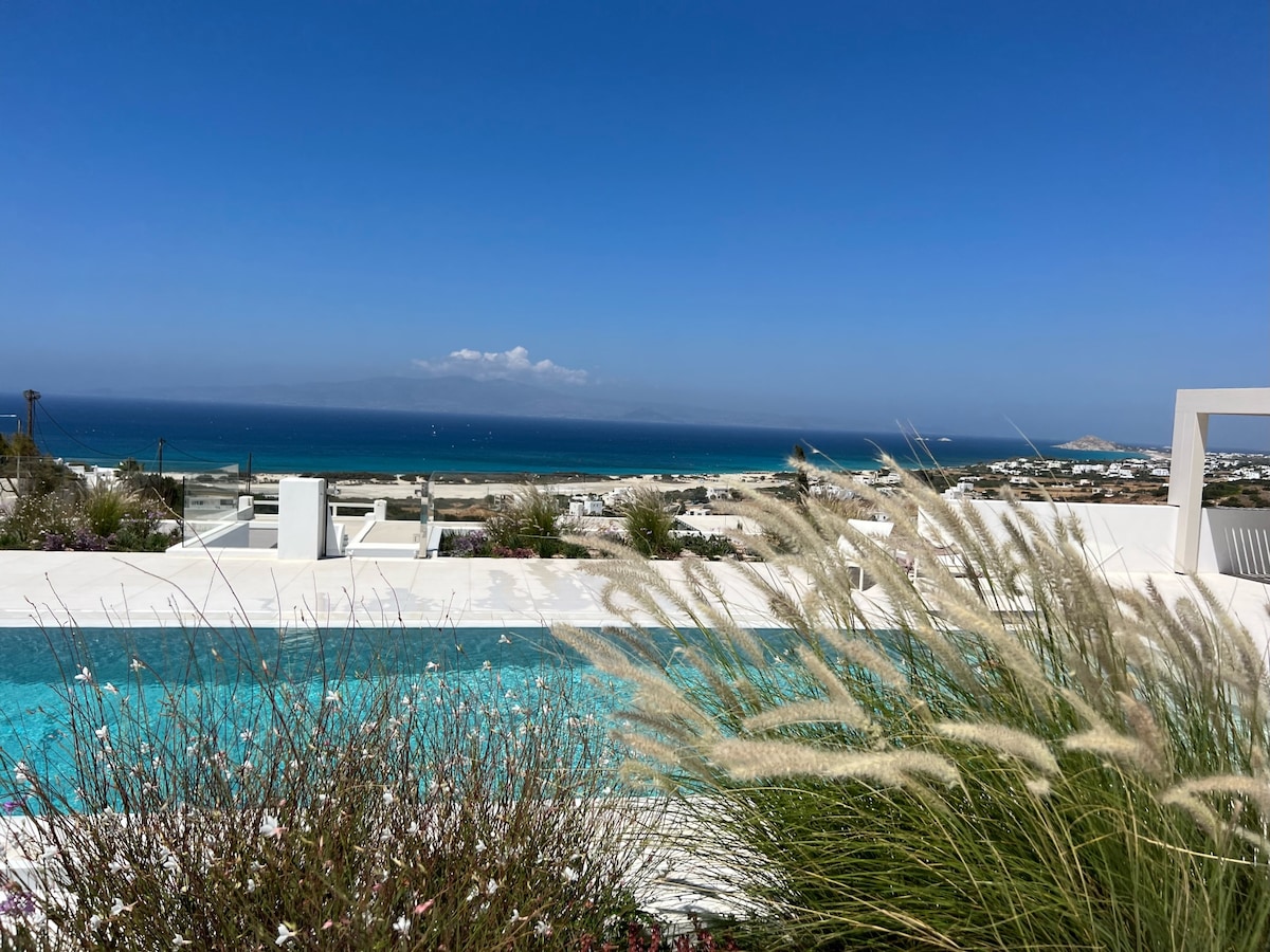 Villa Naxia overview 1